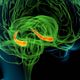 Imagen para el artículo titulado Un experimento pionero tratará de resucitar el cerebro de 20 pacientes clínicamente muertos